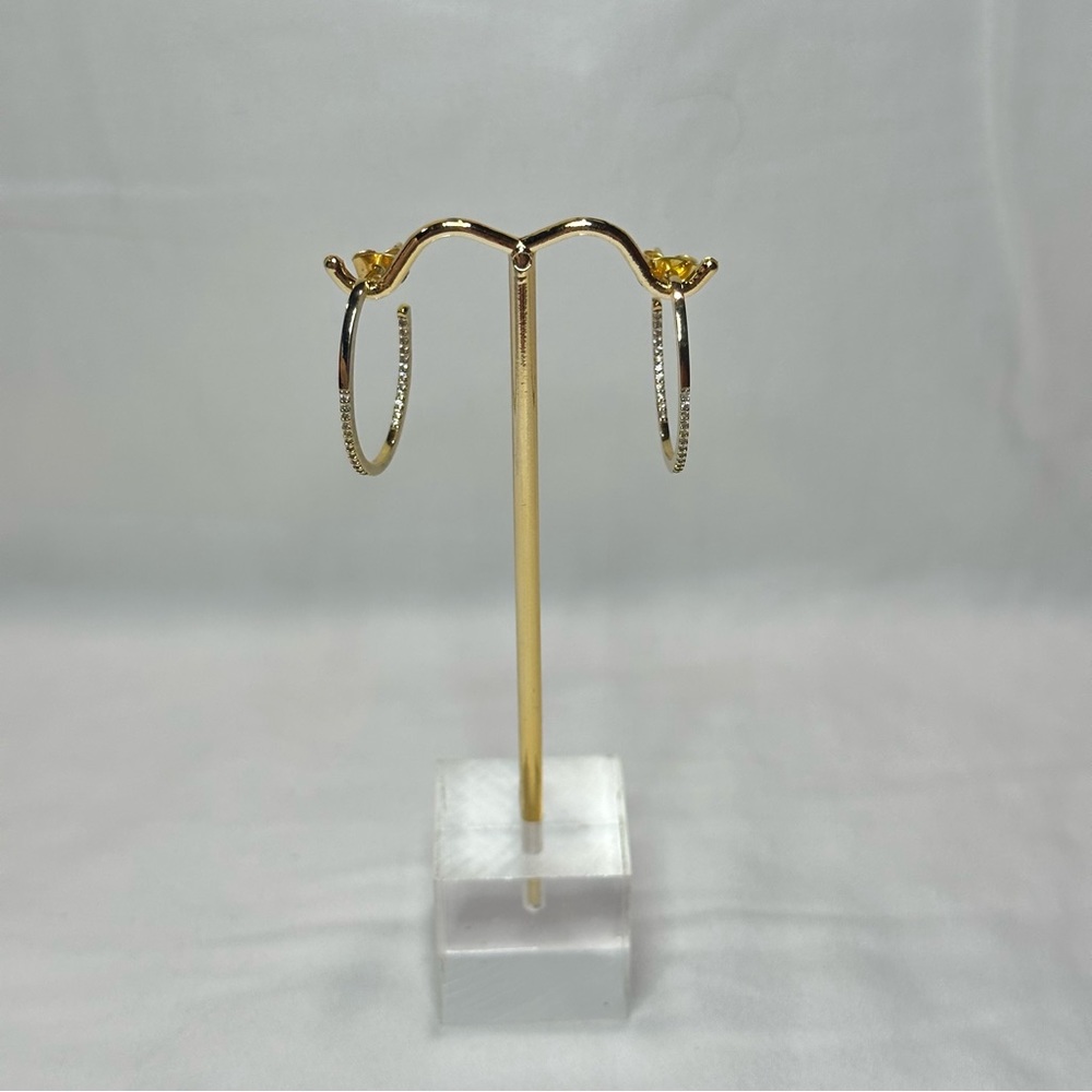Hoop Earrings